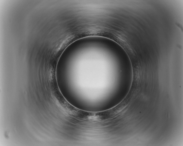 X0000100210216200805301332