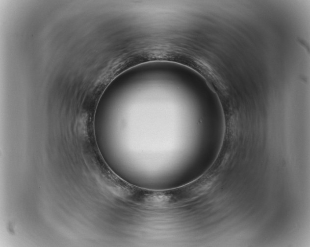 X0000100210217200805301332