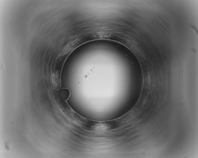 X0000100210218200805301332