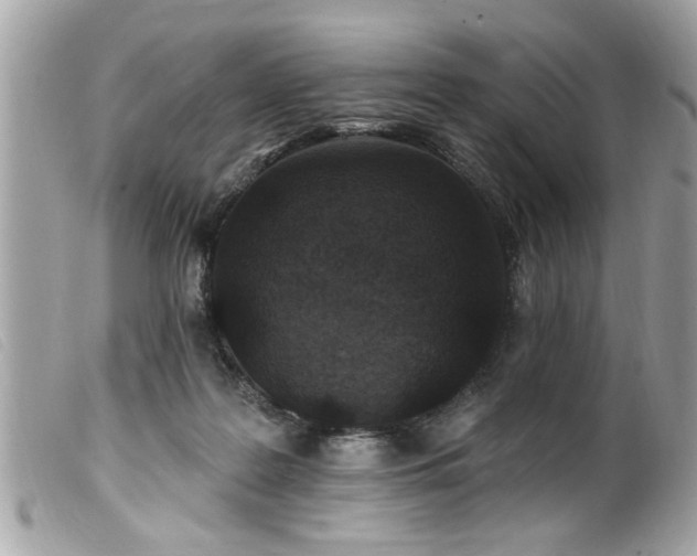 X0000100210219200805301332