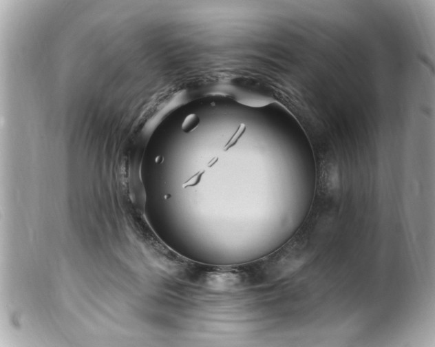 X0000100210220200805301332