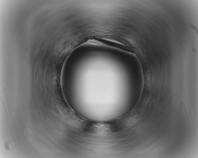 X0000100210221200805301332