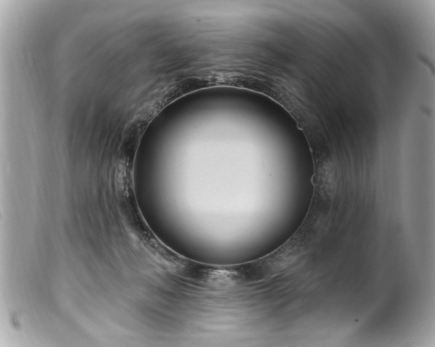 X0000100210222200805301332