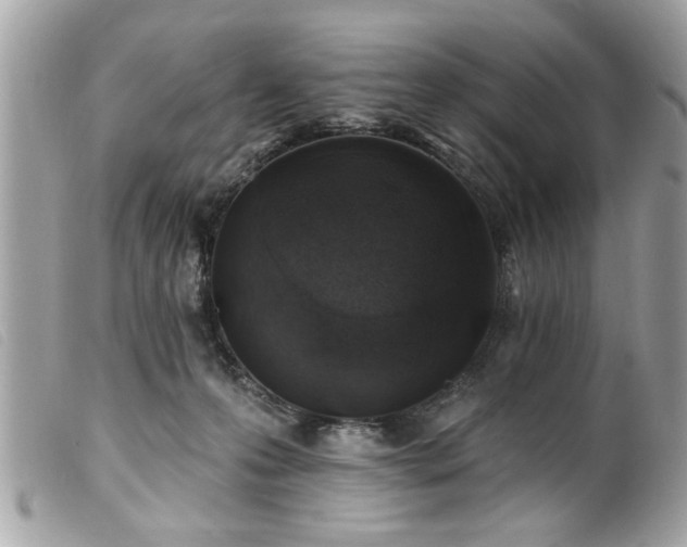 X0000100210223200805301332