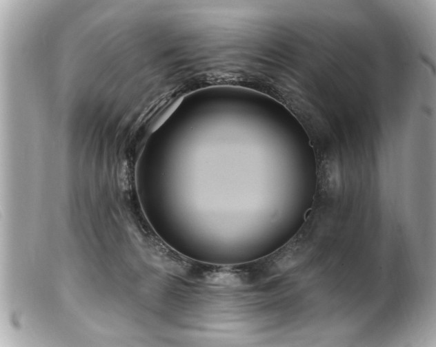 X0000100210224200805301332