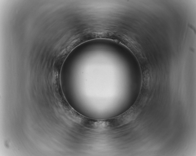 X0000100210225200805301332