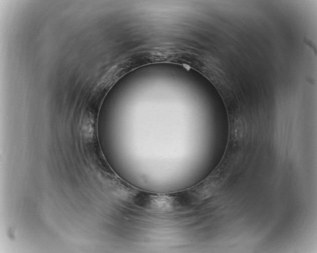 X0000100210226200805301332