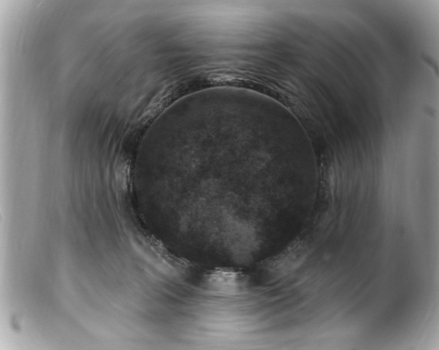 X0000100210227200805301332