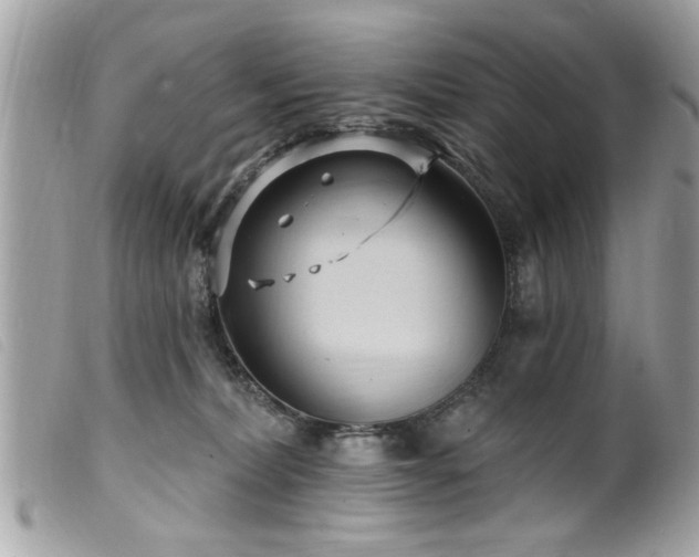 X0000100210228200805301332