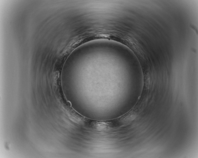 X0000100210229200805301332