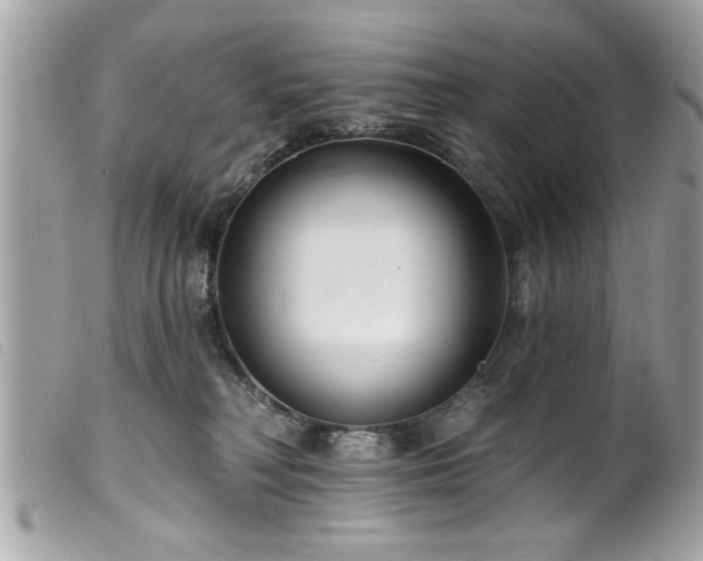 X0000100210230200805301332