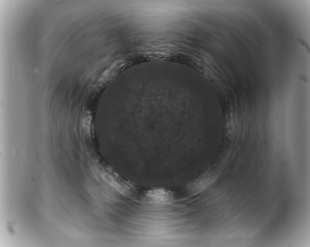 X0000100210231200805301332