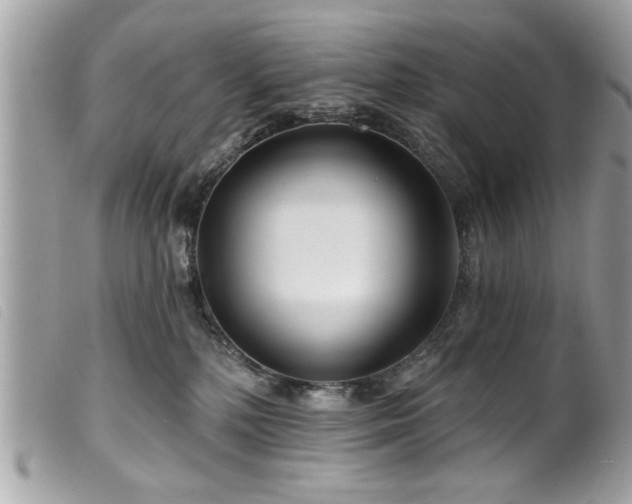 X0000100210232200805301332