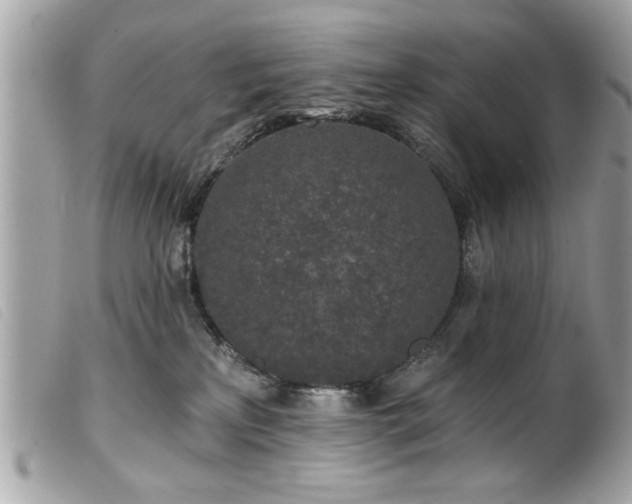 X0000100210233200805301332