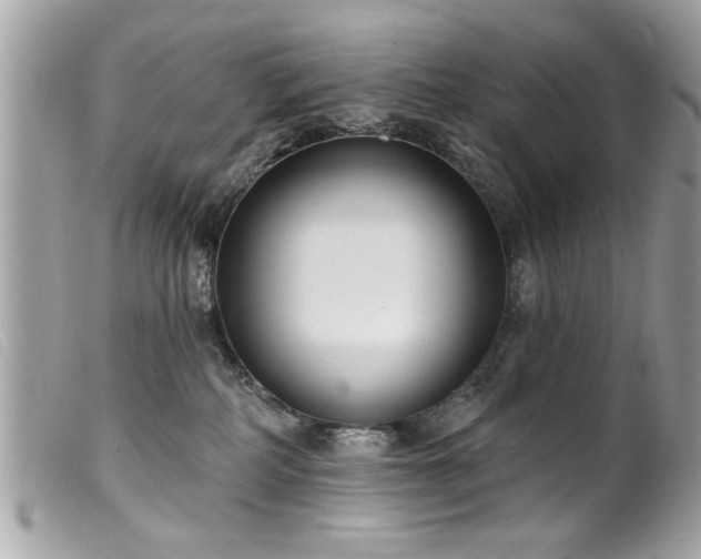 X0000100210234200805301332