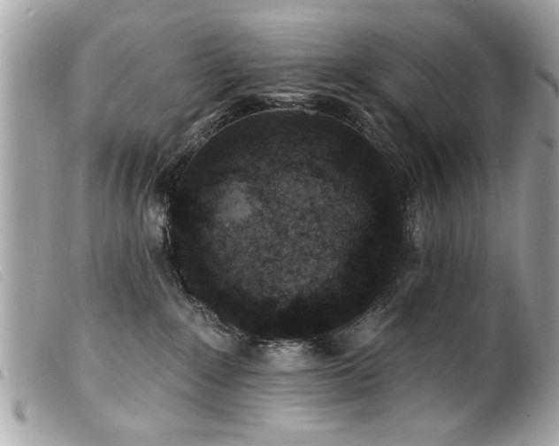 X0000100210235200805301332