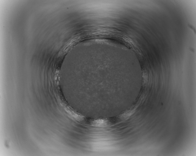 X0000100210237200805301332