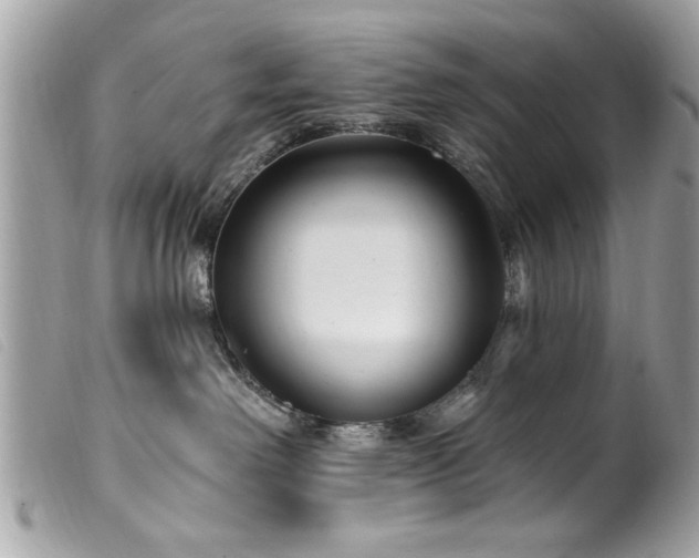 X0000100210238200805301332