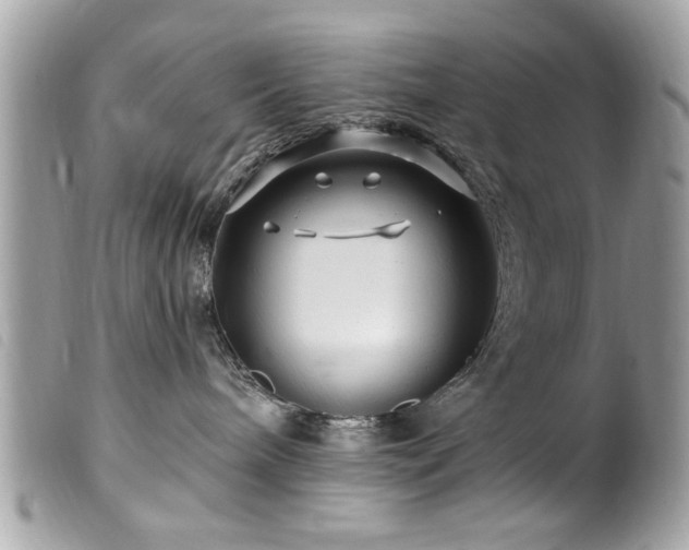 X0000100210240200805301332