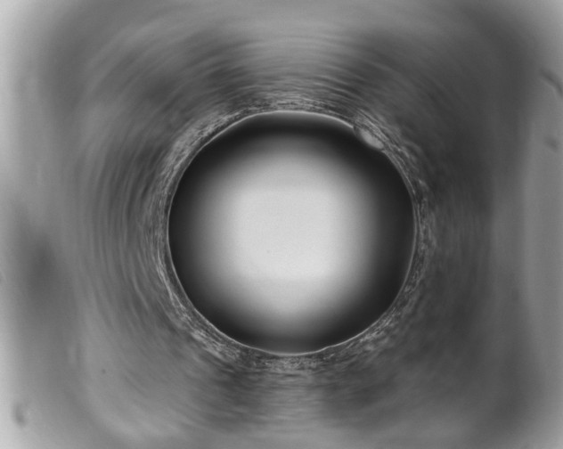 X0000100210241200805301332