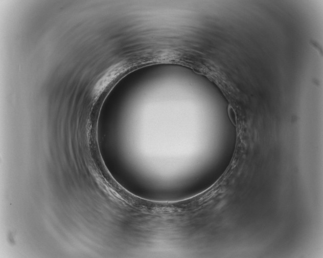 X0000100210242200805301332