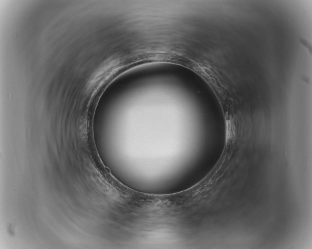 X0000100210243200805301332