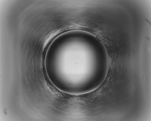 X0000100210244200805301332