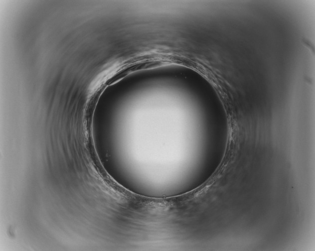 X0000100210245200805301332