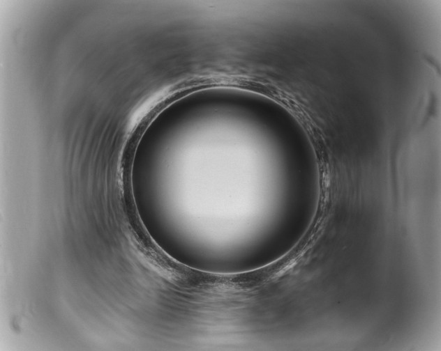 X0000100210246200805301332