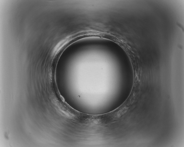 X0000100210247200805301332