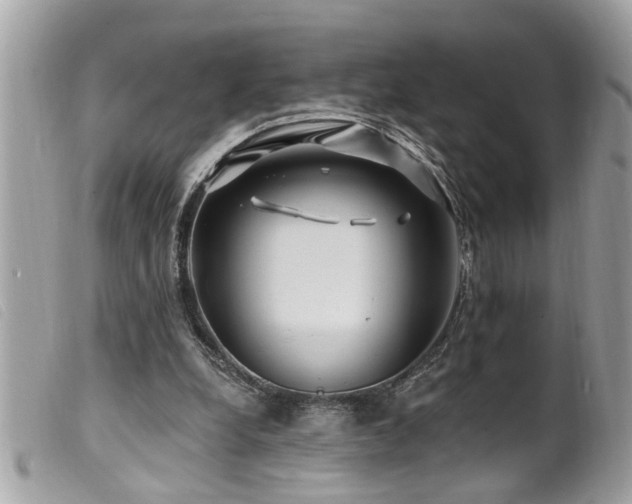 X0000100210248200805301332