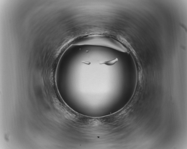 X0000100210249200805301332