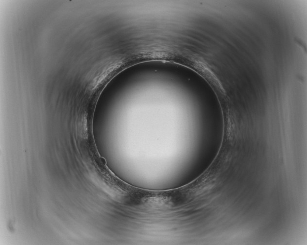 X0000100210251200805301332