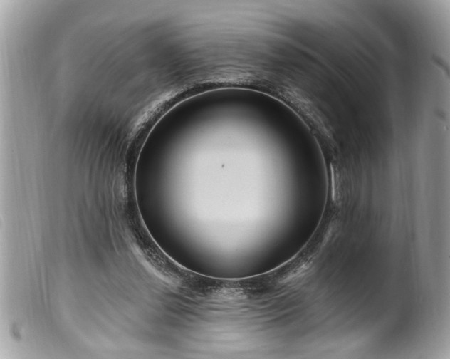 X0000100210252200805301332