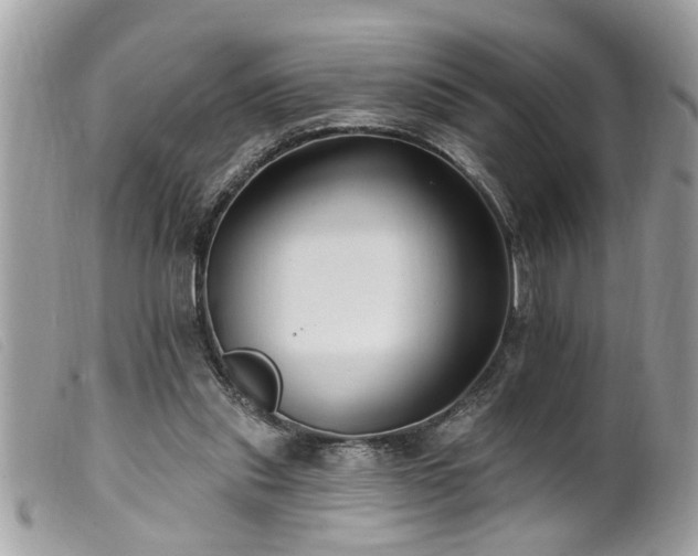 X0000100210253200805301332