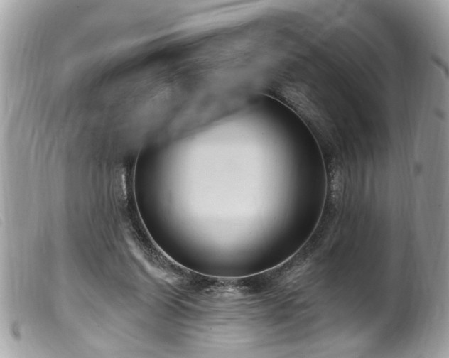 X0000100210254200805301332