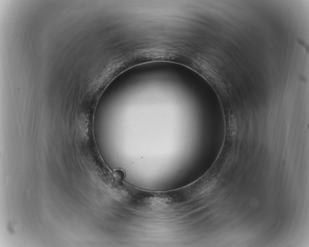 X0000100210255200805301332