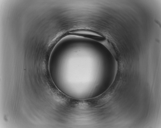 X0000100210256200805301332