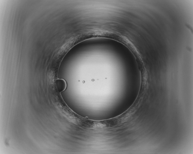 X0000100210257200805301332