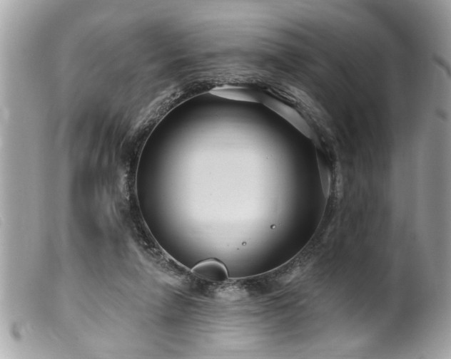 X0000100210258200805301332