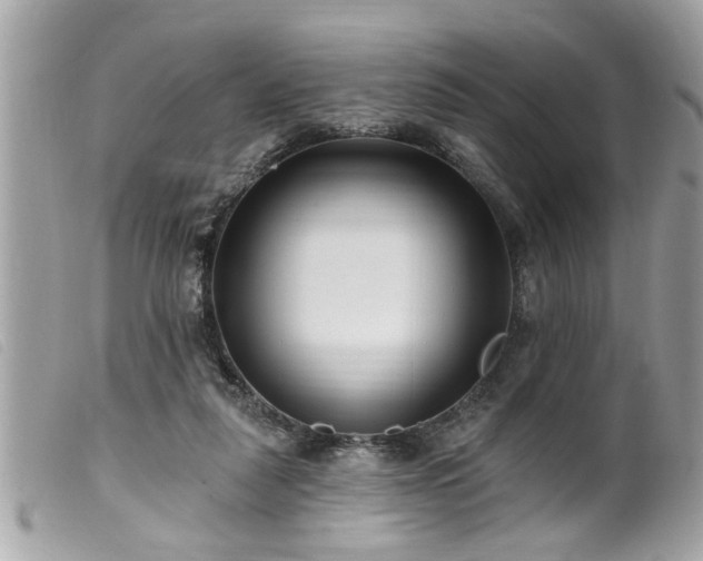 X0000100210259200805301332