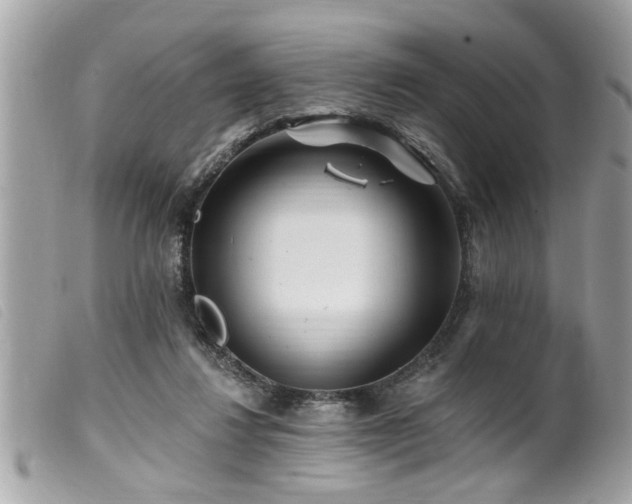 X0000100210260200805301332