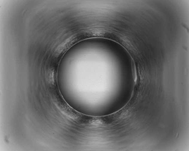 X0000100210262200805301332