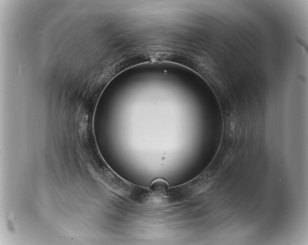 X0000100210263200805301332