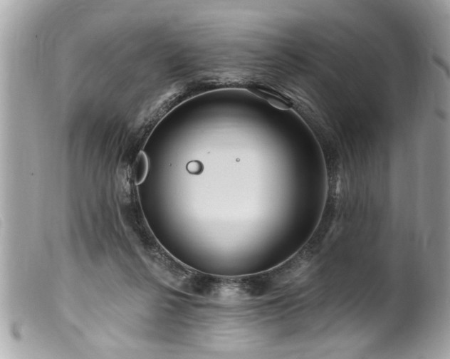 X0000100210264200805301332