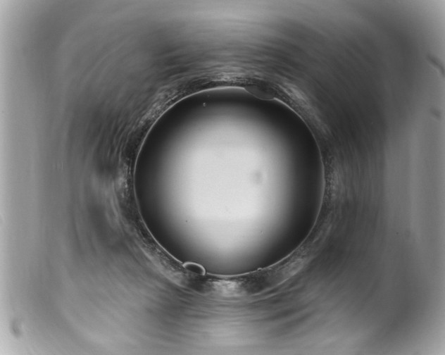 X0000100210265200805301332