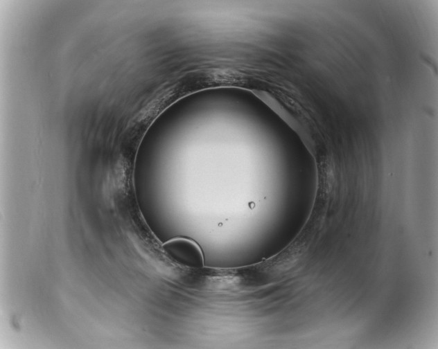 X0000100210266200805301332