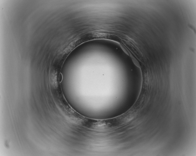 X0000100210267200805301332