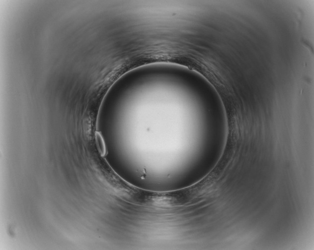 X0000100210268200805301332