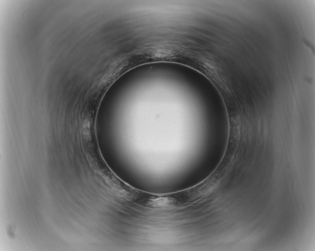 X0000100210269200805301332